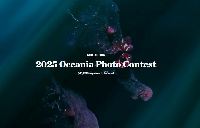 Nature Australia Photo Competition – Sweepstakesdream