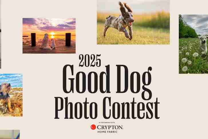 Garden And Gun Good Dog Photo Contest – Sweepstakesdream